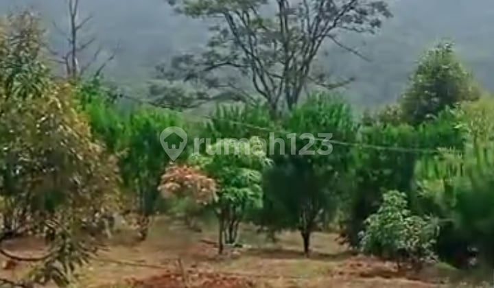 Dijual Tanah Kebun di Kecamatan Cijambe Kabupaten Subang Jawa Barat