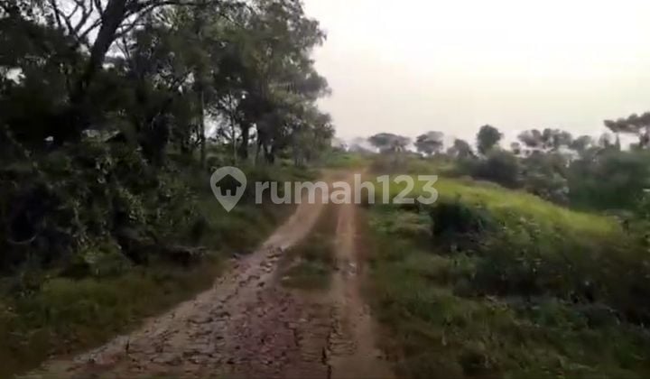 Tanah Industri/Komercial Dijual Area Mauk Kronjo Kabupaten Tangerang Propinsi Banten