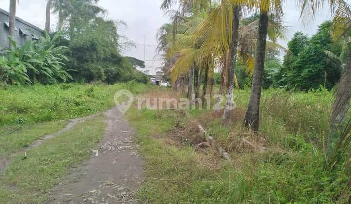 Dijual Tanah Zona Industri di Jalan Raya Pantura Balaraja, Kabupaten Tangerang.
