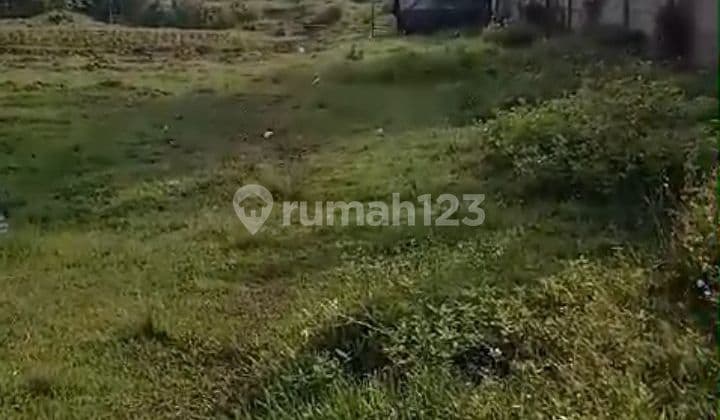 Dijual Tanah Zona Industri Area Kecamatan Panongan Kabupaten Tangerang, Propinsi Banten