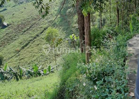 Cheap Land Valley View Near Dago Cartil