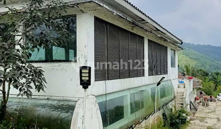 Dijual Tanah dan Bangunan Puncak Pass Bogor Jawa Barat