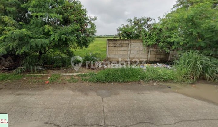 Dijual Tanah Luas Pakuhaji Tangerang Banten