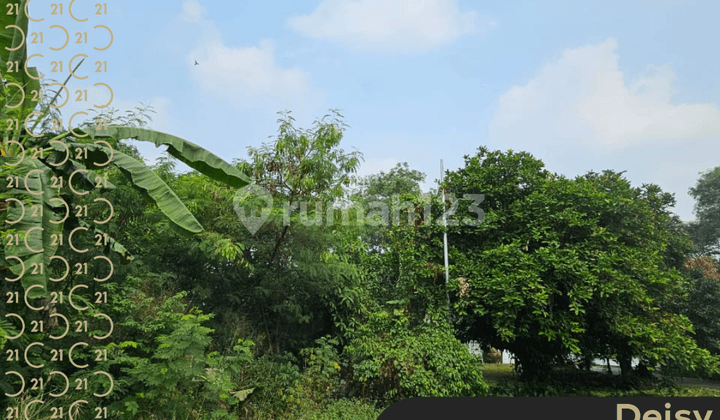Dijual Tanah di Kavling Dprd Cibubur Ciracas Jakarta Timur