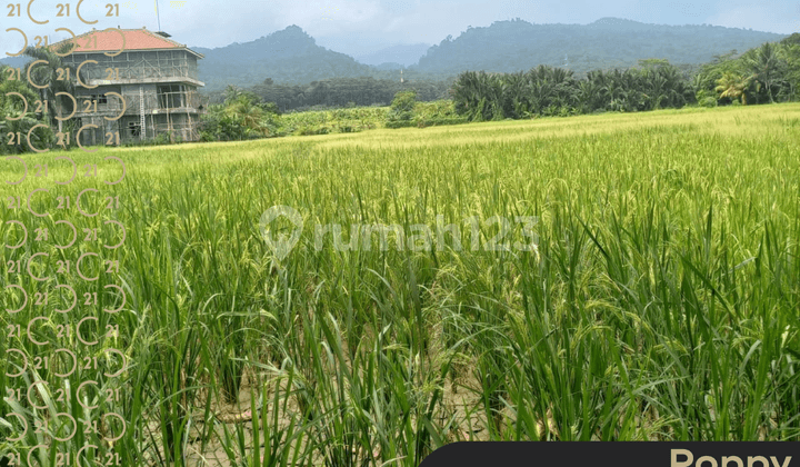 DIJUAL TANAH DI PINGGIR JALAN HADAP PANTAI CARITA PANDEGLANG BANTEN