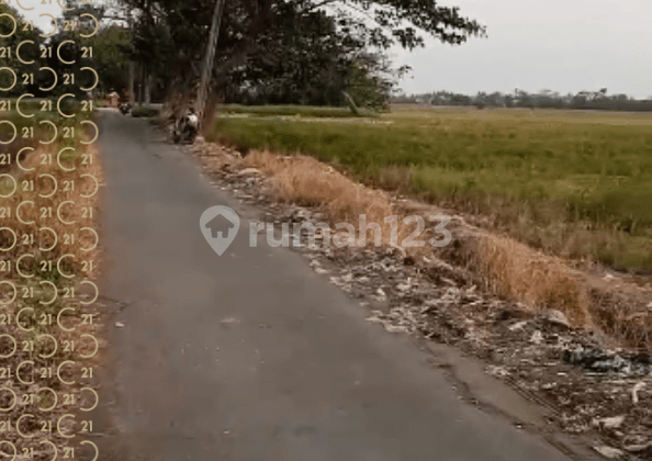 Dijual Tanah di Jalan Pulo Bunder Sukakarya Bekasi