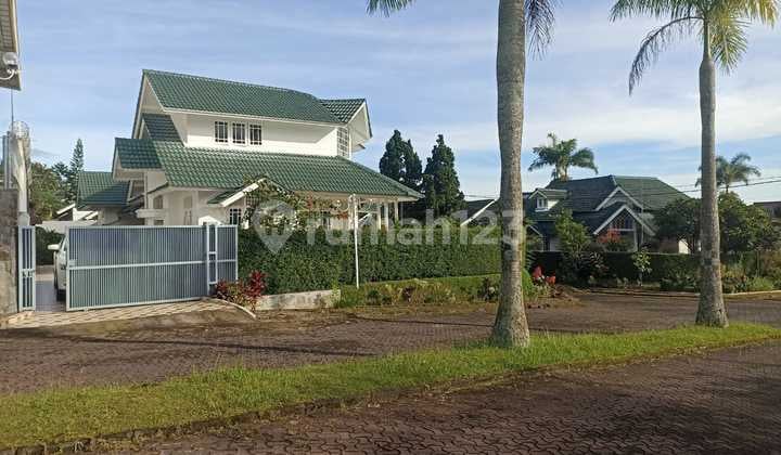 Villa Palm Garden Cipanas 1.7M Dekat Istana Cipanas dan Cibodas.