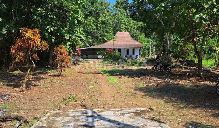 Jual Tanah Dekat Ke Pantai Carita Banten