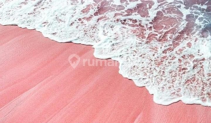 Pantai Pink di Lombok Timur 4.5Ha Harga: 3.6Jt/M Net.