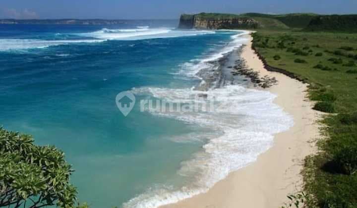 Pantai Kura Kura 130Ha. 350Rb/M Nego View Pantai