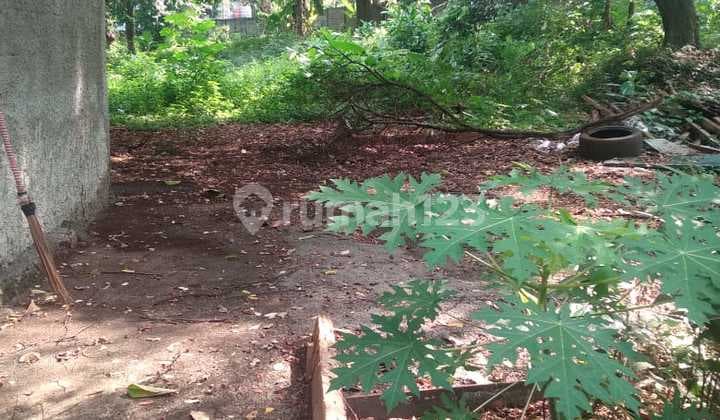 Disewakan Tanah Di Jl. Simatupang. Seberang Dep.pertanian. Pasar Minggu Jaksel