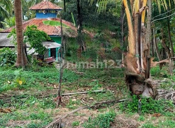 Dijual Tanah Samping Jalan Raya Pantai Karapyak Pangandaran