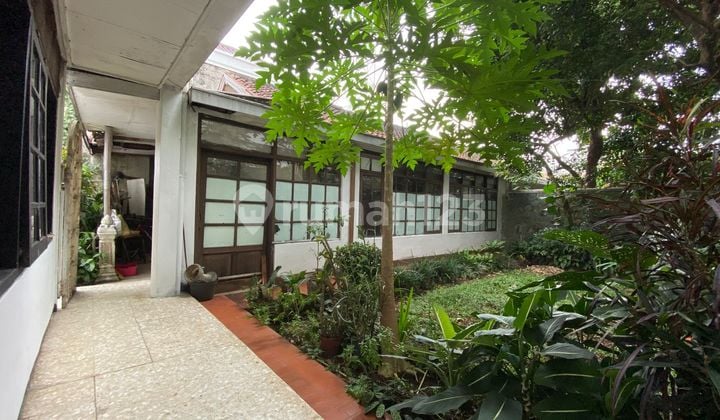 Sewa Rumah/ Jual Sukajadi, Siap Huni dan Strategis