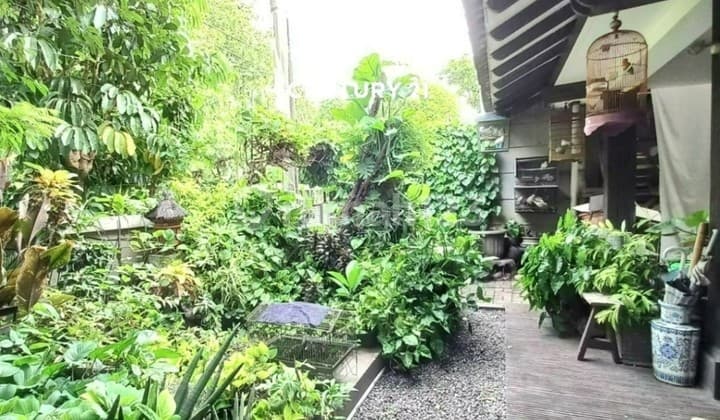 Large Land House Ready to Occupied in Bintaro Sector 2 5098
