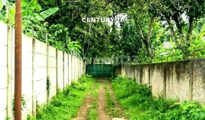 Tanah Kebun Lengkap dengan Gudang Peternakan Sapi dan Walet 9741