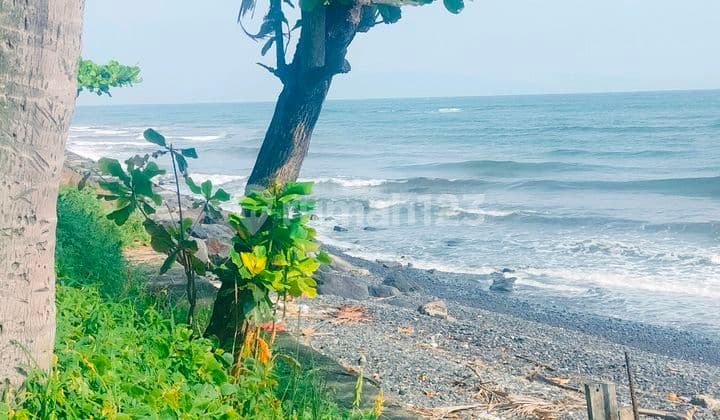 Premium Land 2000M² Beachfront Pinggir Jalan Kubutambahan Bali