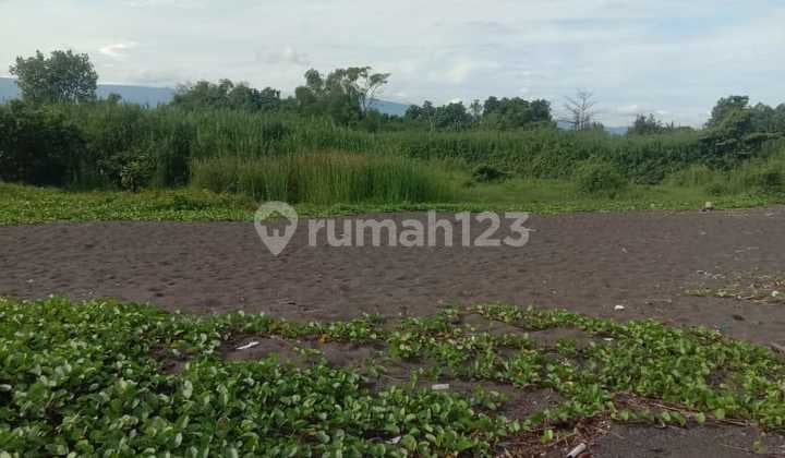 Murah! 2,39 Ha Pinggir Pantai Beachfront Dekat Kubutambahan Bali