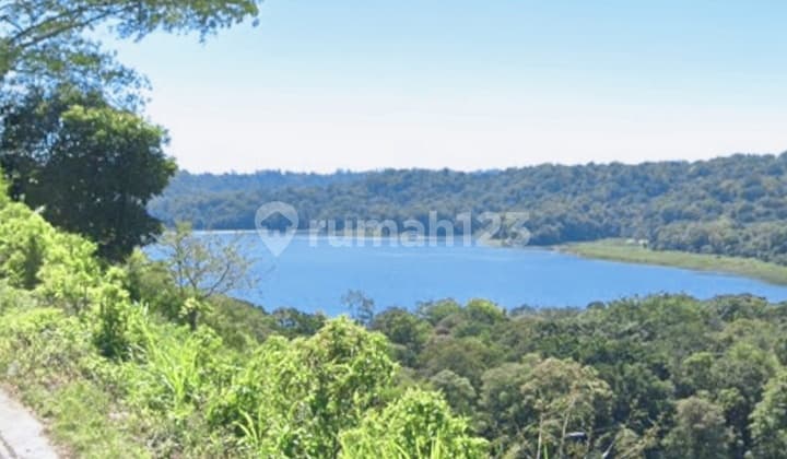 Pink Zone 1.5 Ha Premium Double View Lake Ocean Munduk Buleleng