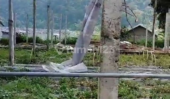 1000m2 siap bangun Villa view Lake Bedugul Buleleng Bali