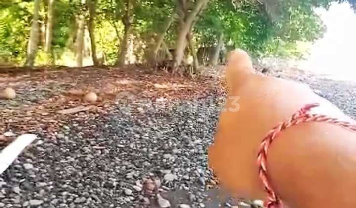 Beachfront Land 50 Are Pinggir Pantai Tejakula Buleleng Bali
