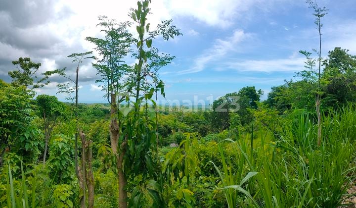 48 Are View Laut Akses Jalan Mobil Bulian Kubutambahan Buleleng