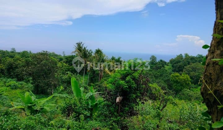 17Juta Per Are SHM Depeha Kubutambahan Buleleng