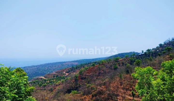 95 Are View Laut Akses Mobil Depeha Kubutambahan Buleleng