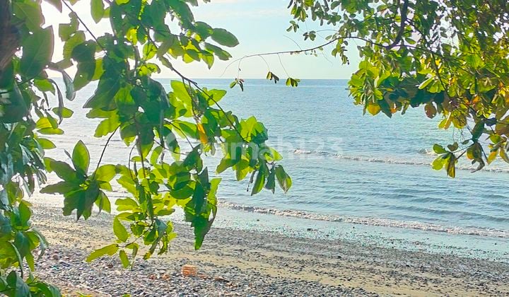 PINK ZONE BEACHFRONT 1600m² SHM Main Road Kubutambahan Buleleng