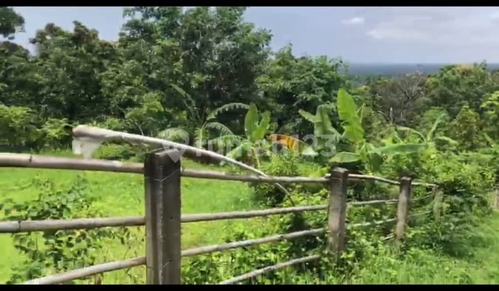 5 Are Tanah View Laut Pinggir Aspal Hotmix Lovina Buleleng Bali