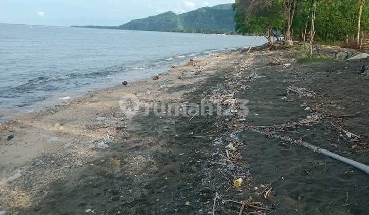 Beachfront Land Pemuteran 1,5 Hektar Freehold Akses Mobil Buleleng Bali