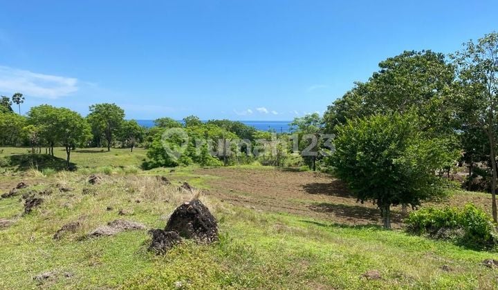 1,5 Ha Land Ocean View Ready To Build Datah Karangasem Bali