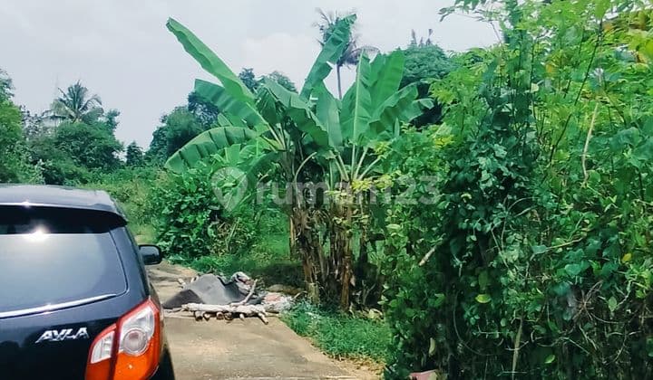 Tanah Kapling 300m² Siap Bangun Sangket Sukasada Buleleng Bali