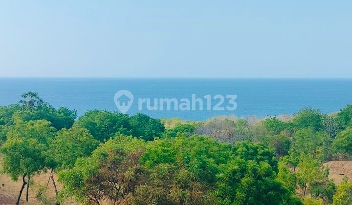40 juta per are Murah! 29,8 are View Laut Kubutambahan Buleleng Bali