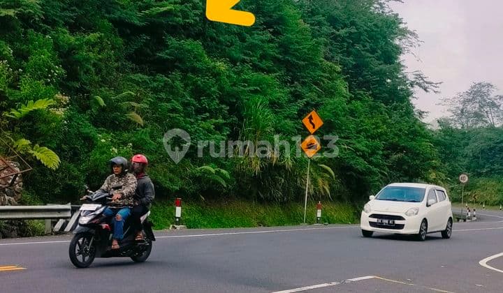 Strategic 16 Are Land by the Roadside, Singaraja to Denpasar, Buleleng, Bali.
