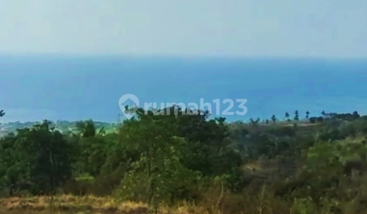 1.37 Hectares of Land with Sea View SHM Cempaga Banjar Buleleng Bali