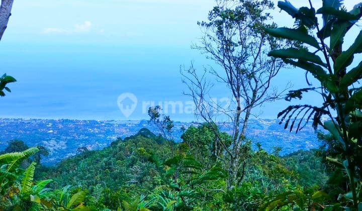 Full Ocean View Pinggir Aspal 54 Are Selat Sukasada Buleleng Bali