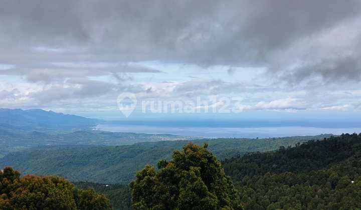 90 Are Stunning View Near Ngiring Ngwedang Resto Munduk Buleleng