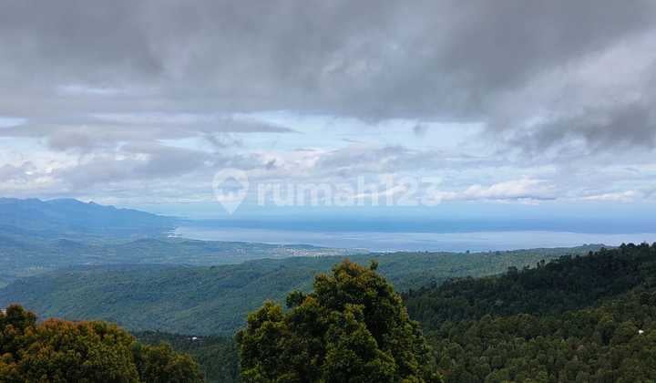 90 Are Stunning View Near Ngiring Ngwedang Resto Munduk Buleleng