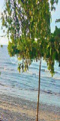 1600² S H M Pinggir Pantai Pinggir Jalan Propinsi Buleleng Bali