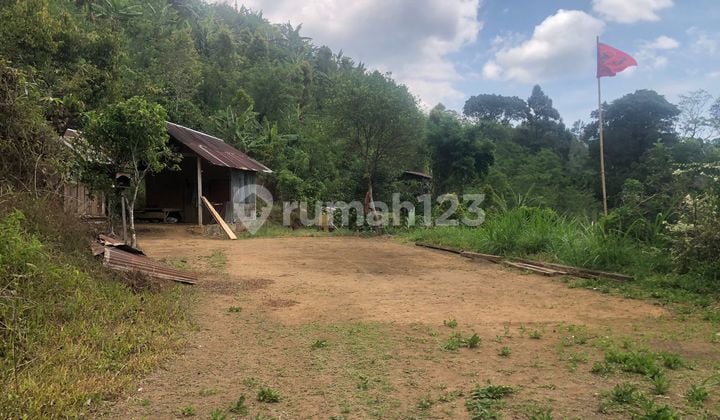 15 Million Per Are Cheap! 3.5 Hectares Fertile for Plantation, Has 2 Springs, Near the Planned New North Bali Airport, Buleleng, Bali.