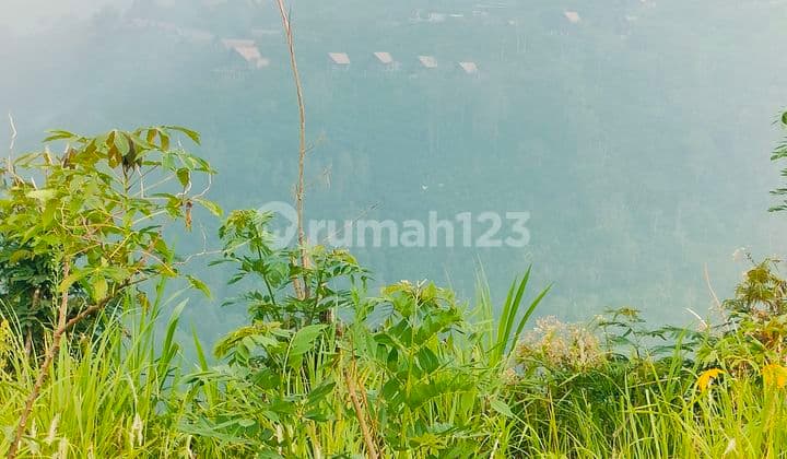 10 are SHM View Laut dan Bisa Lihat The Elevate Munduk Buleleng