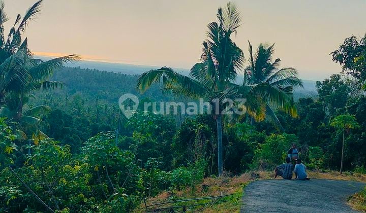 Ocean View 2040m² Jalan Mobil Depeha Kubutambahan Buleleng Bali