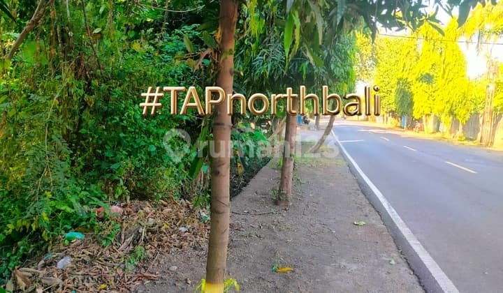 Pinggir Jalan Kubutambahan 40 Are Bagus Dekat Bandara Buleleng