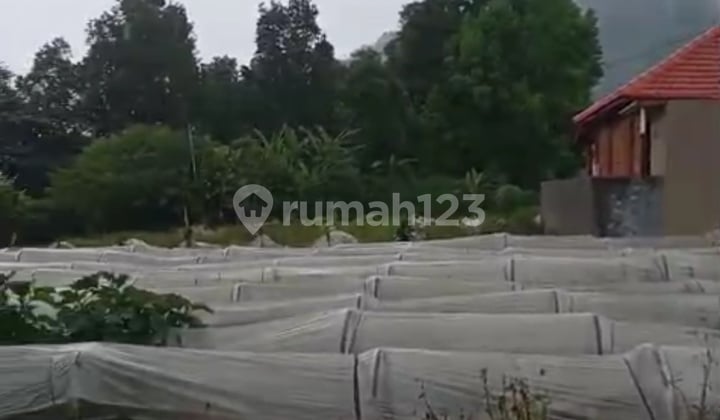 Tanah Kavling 3,9 Are Siap Bangun Bedugul View Perbukitan Datar Sejuk