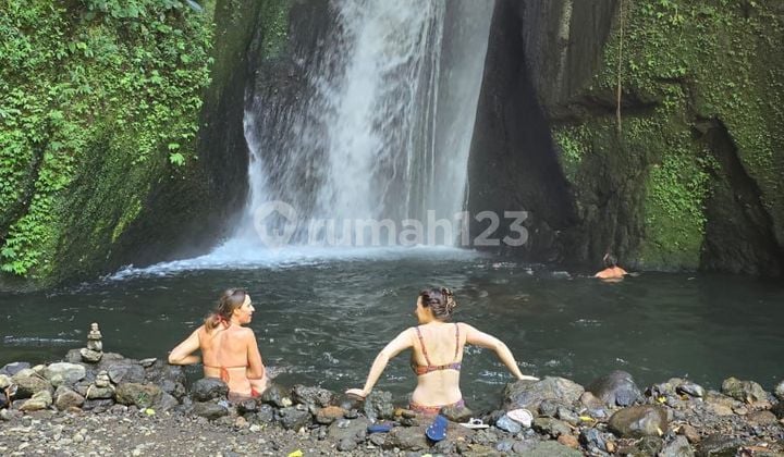 1,5 Ha View Melanting Waterfall Bagus untuk Investasi Munduk Buleleng Bali