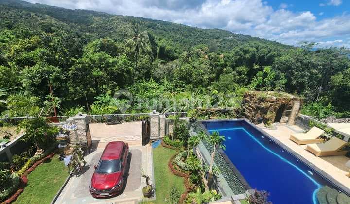 New Villa With Hills View 3 B R And Pool Lovina Buleleng Bali