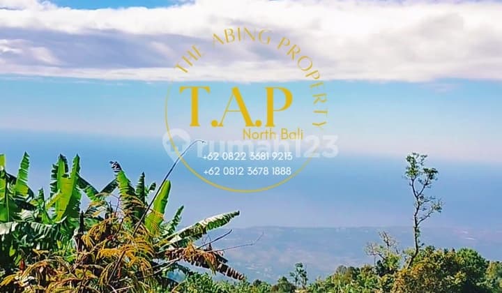 Super Land! Super Ocean View! 240M² Pinggir Jalan Gobleg Super Buleleng Bali