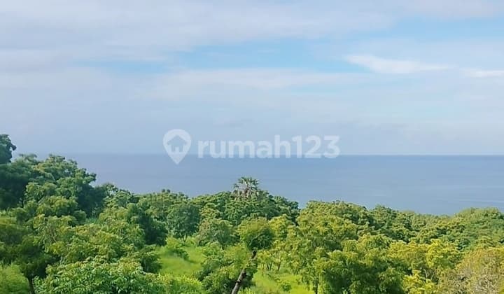 80 Are Ocean View Super! Murah Akses Mobil Kubutambahan Bali