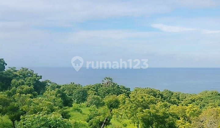 80 Are Ocean View Super! Murah Akses Mobil Kubutambahan Bali