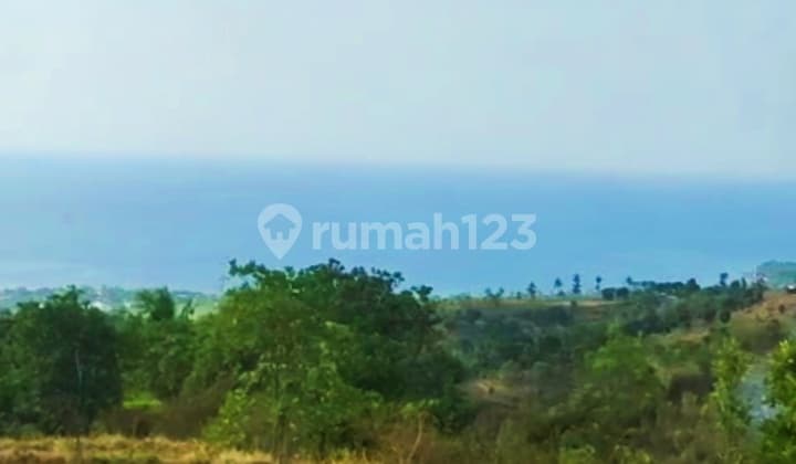 45 Juta Luas 1,74 Ha Tanah View Laut SHM Cempaga Banjar Buleleng Bali